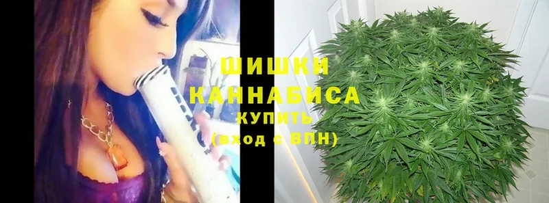 Где продают наркотики Ивдель АМФЕТАМИН  Меф мяу мяу  Cocaine  Гашиш  Канабис  APVP 